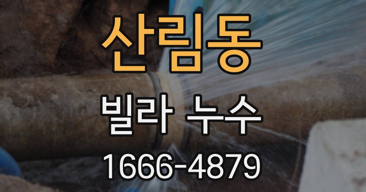 산림동 빌라 누수