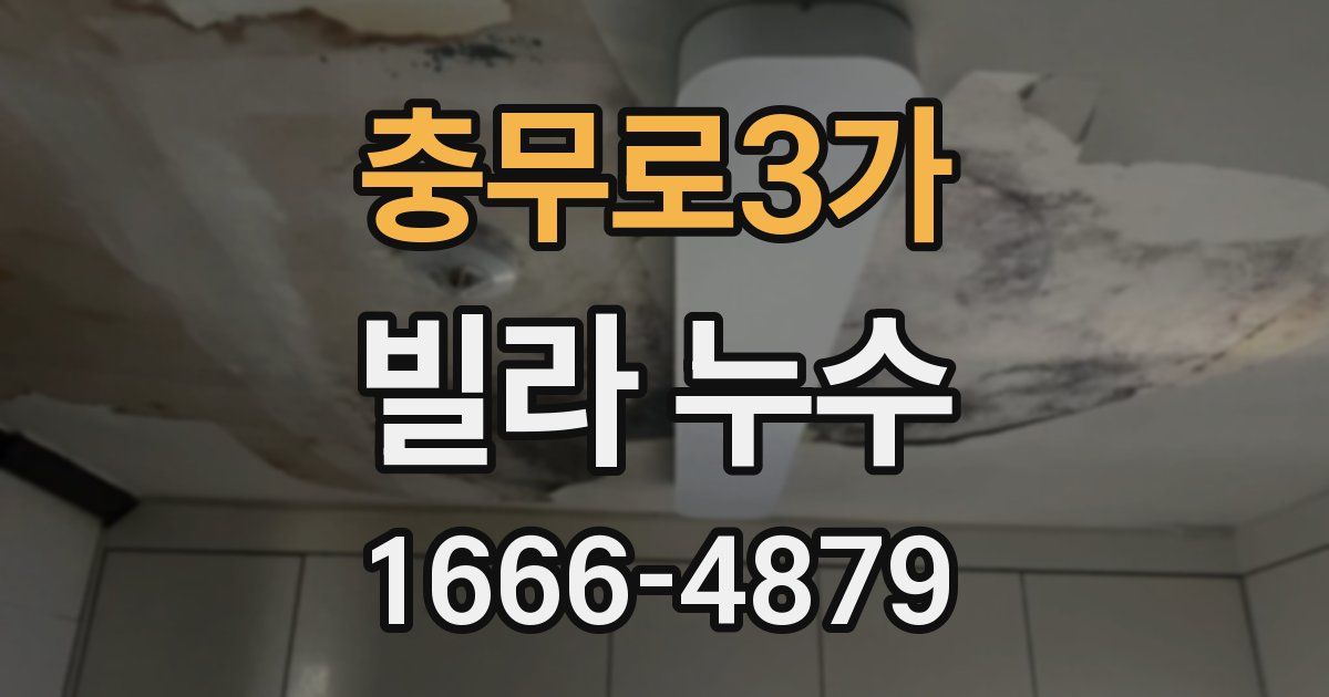 충무로3가 빌라 누수
