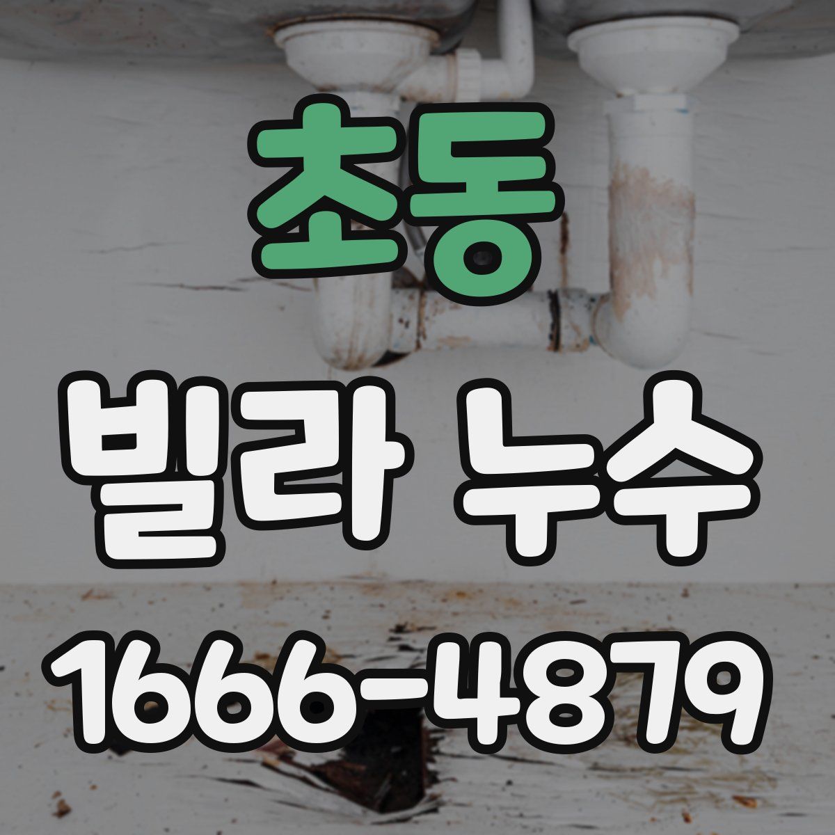 초동 빌라 누수