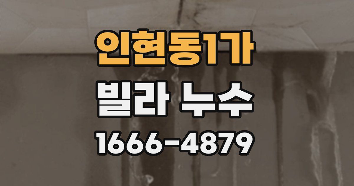 인현동1가 빌라 누수