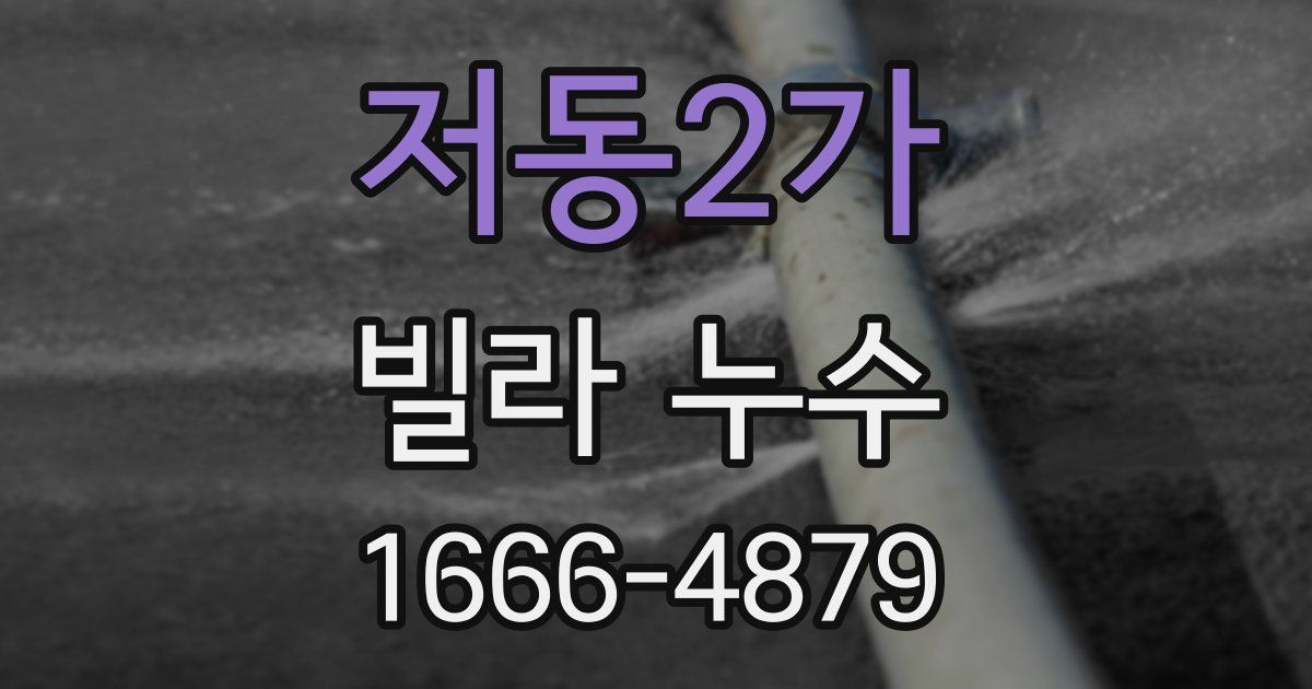 저동2가 빌라 누수