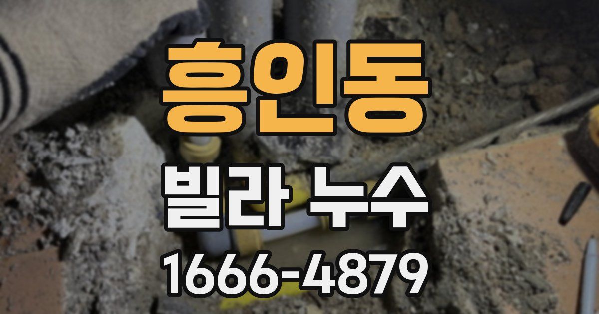 흥인동 빌라 누수