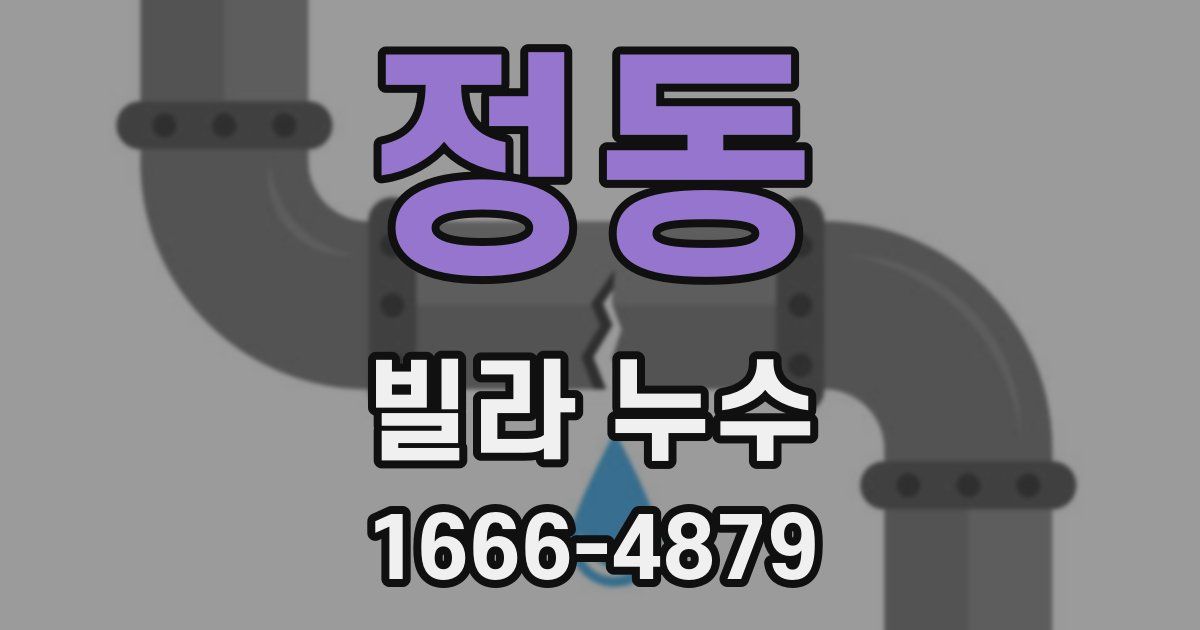 정동 빌라 누수