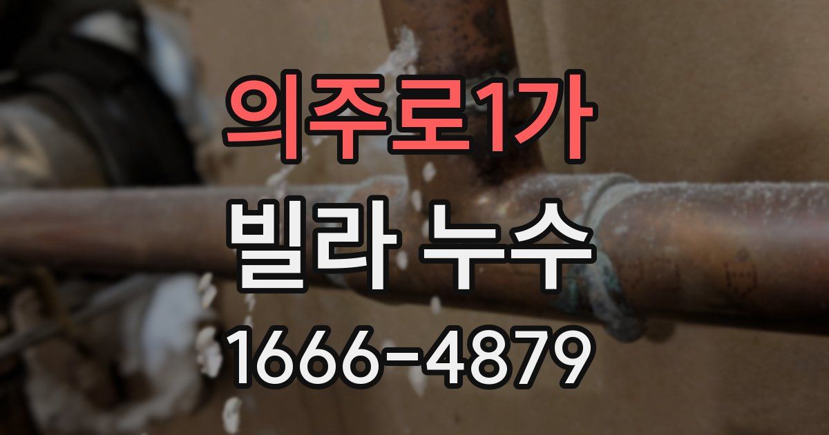 의주로1가 빌라 누수