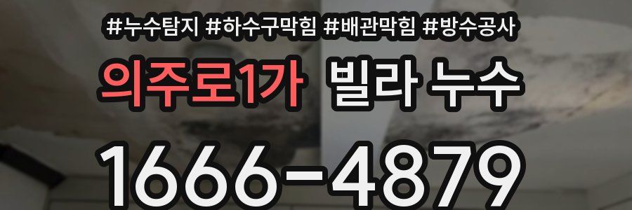 의주로1가 빌라 누수