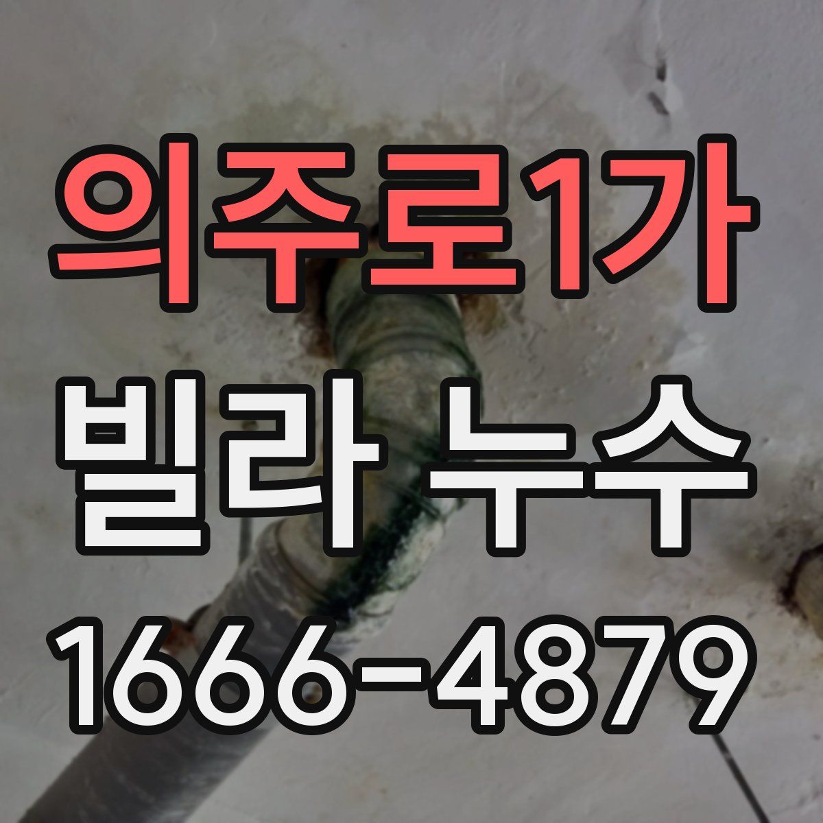의주로1가 빌라 누수
