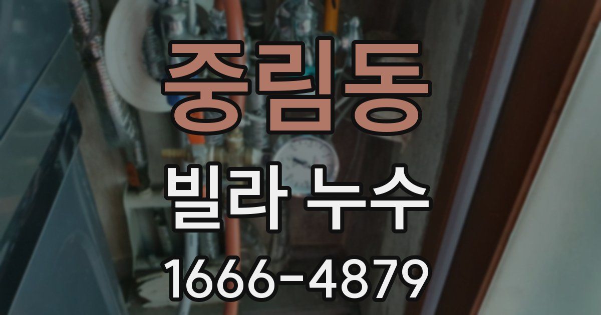 중림동 빌라 누수