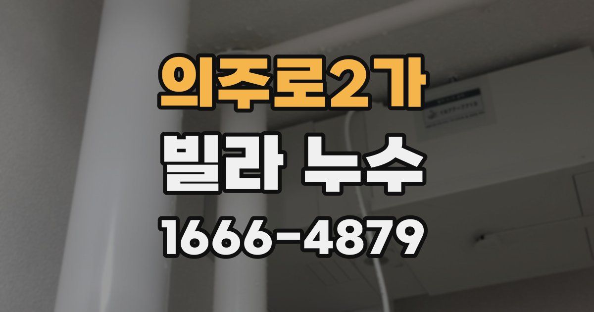 의주로2가 빌라 누수