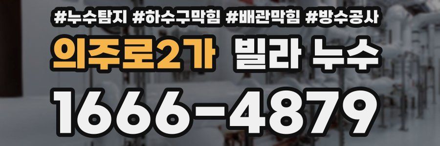 의주로2가 빌라 누수