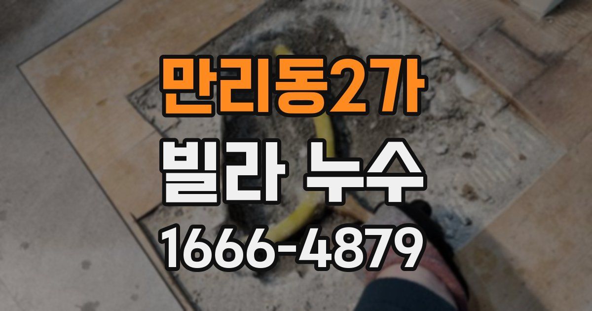 만리동2가 빌라 누수