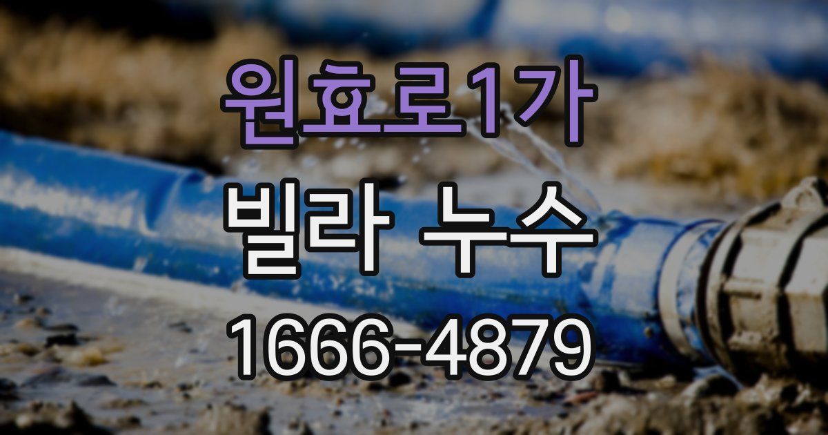 원효로1가 빌라 누수