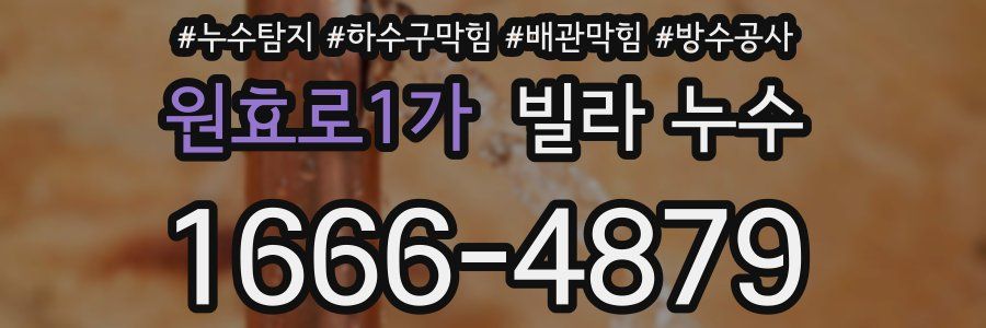 원효로1가 빌라 누수