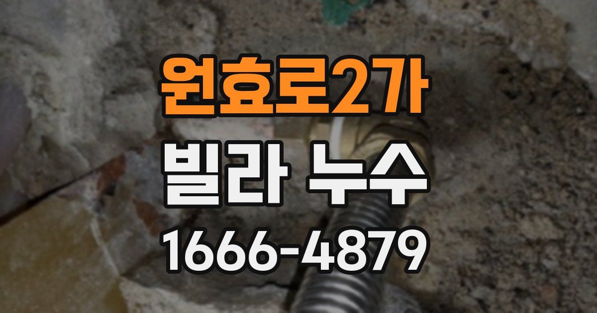 원효로2가 빌라 누수