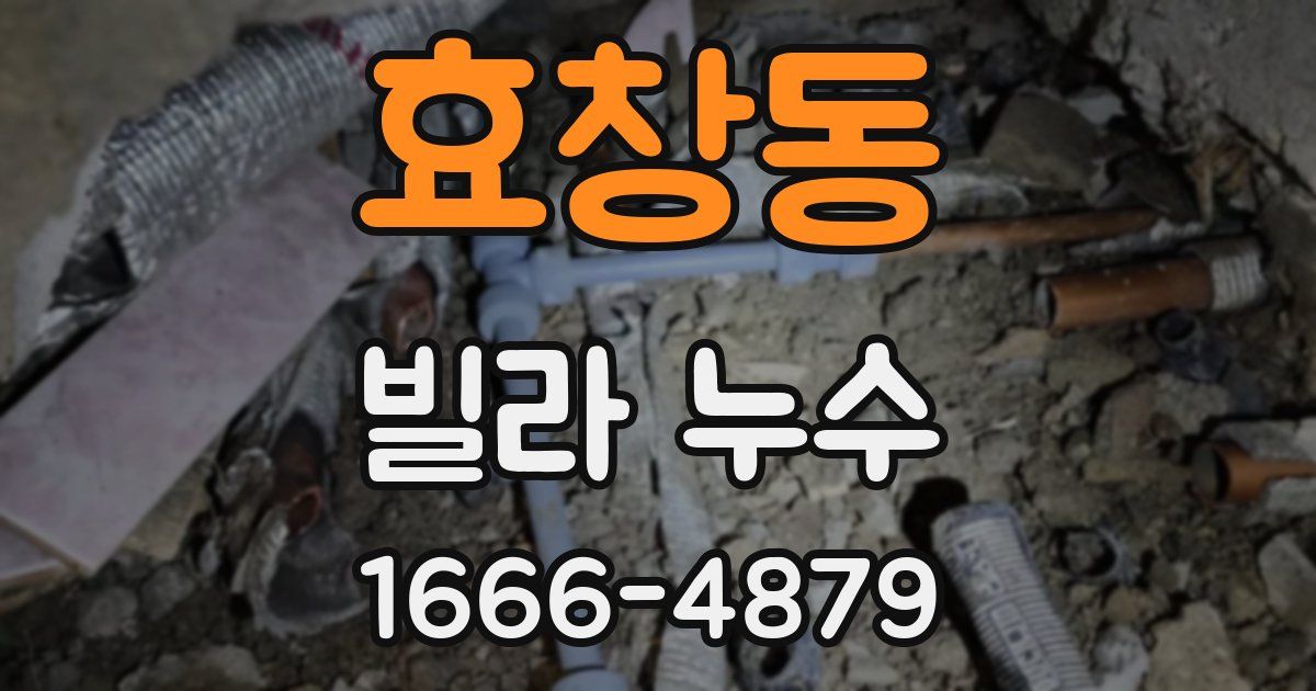 효창동 빌라 누수