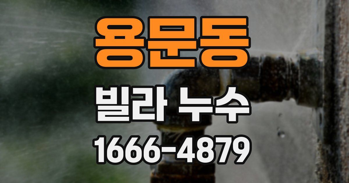 용문동 빌라 누수