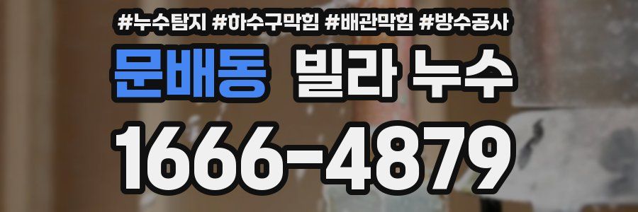 문배동 빌라 누수