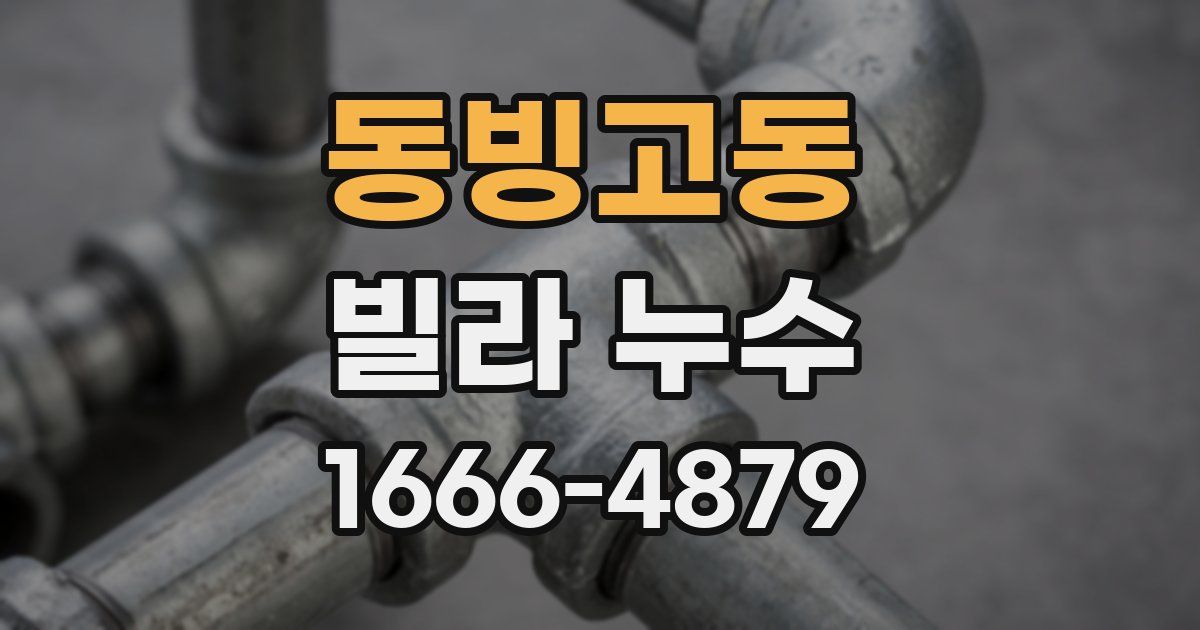 동빙고동 빌라 누수
