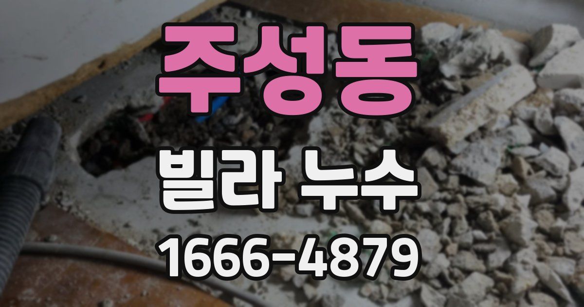 주성동 빌라 누수