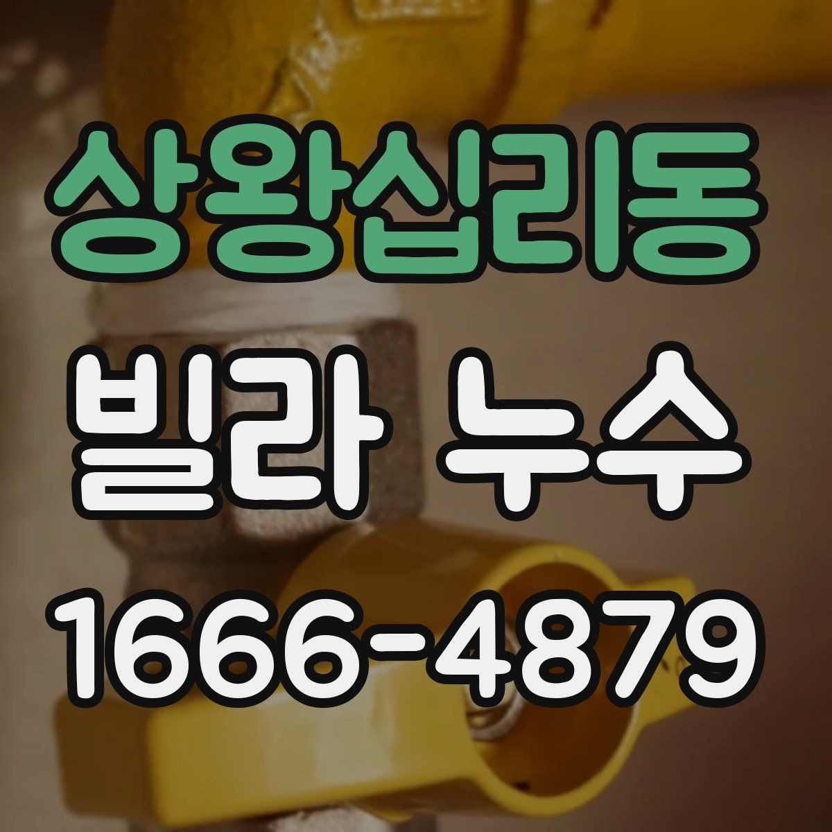 상왕십리동 빌라 누수 공사 견적 차이가 나는 이유