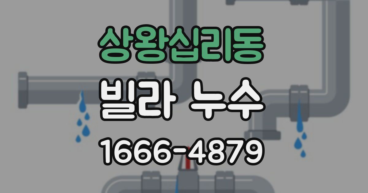 상왕십리동 빌라 누수