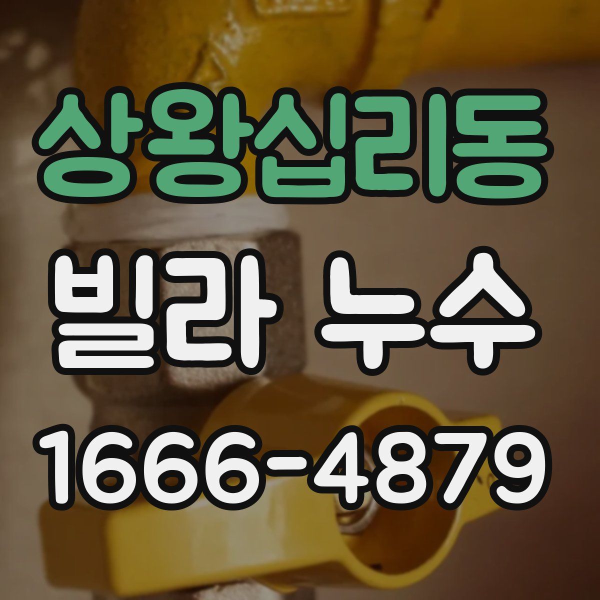 상왕십리동 빌라 누수