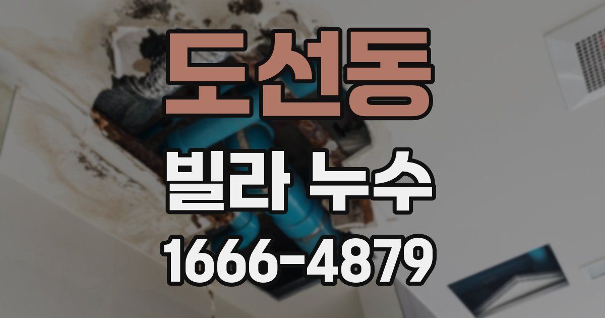도선동 빌라 누수