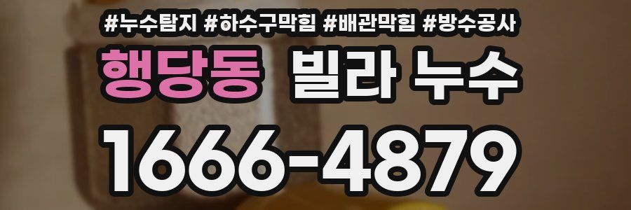 행당동 빌라 누수