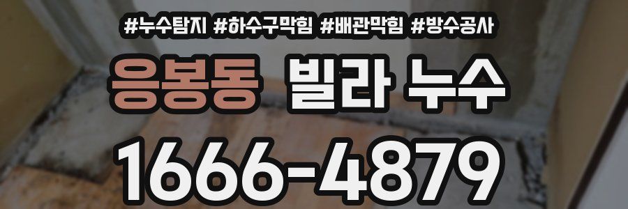응봉동 빌라 누수
