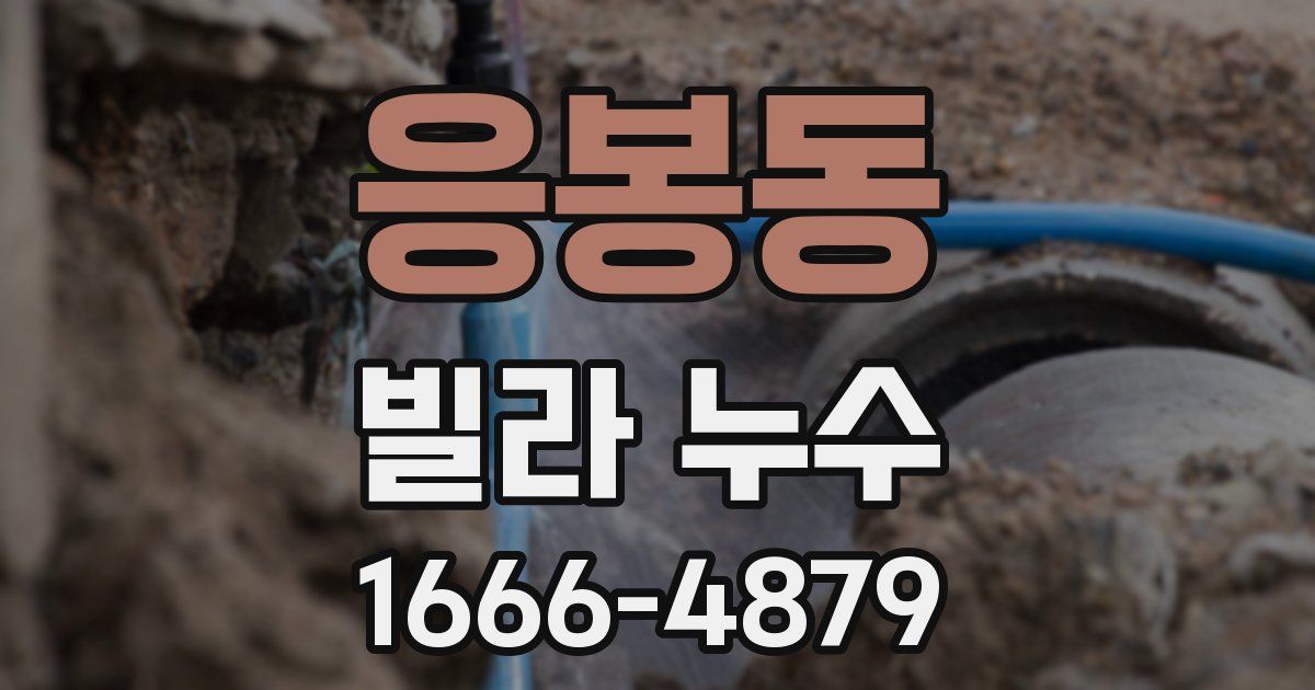 응봉동 빌라 누수