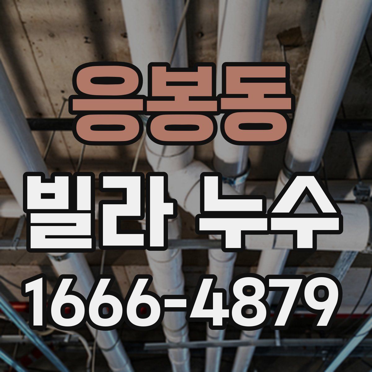 응봉동 빌라 누수
