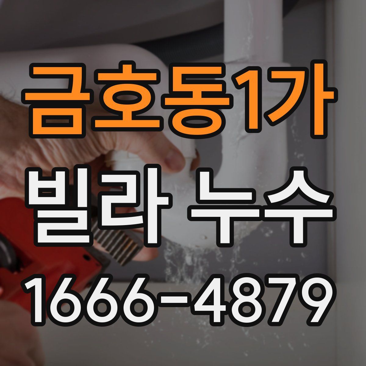 금호동1가 빌라 누수