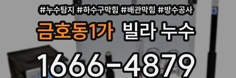 금호동1가 빌라 누수