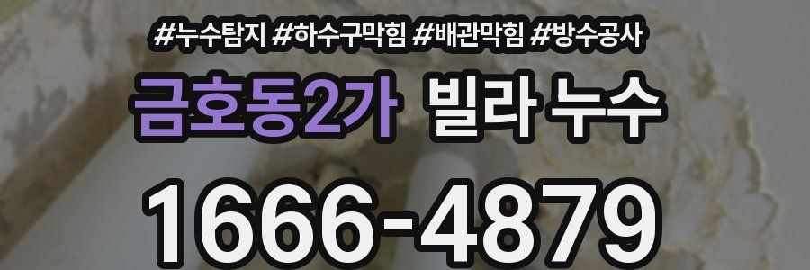 금호동2가 빌라 누수