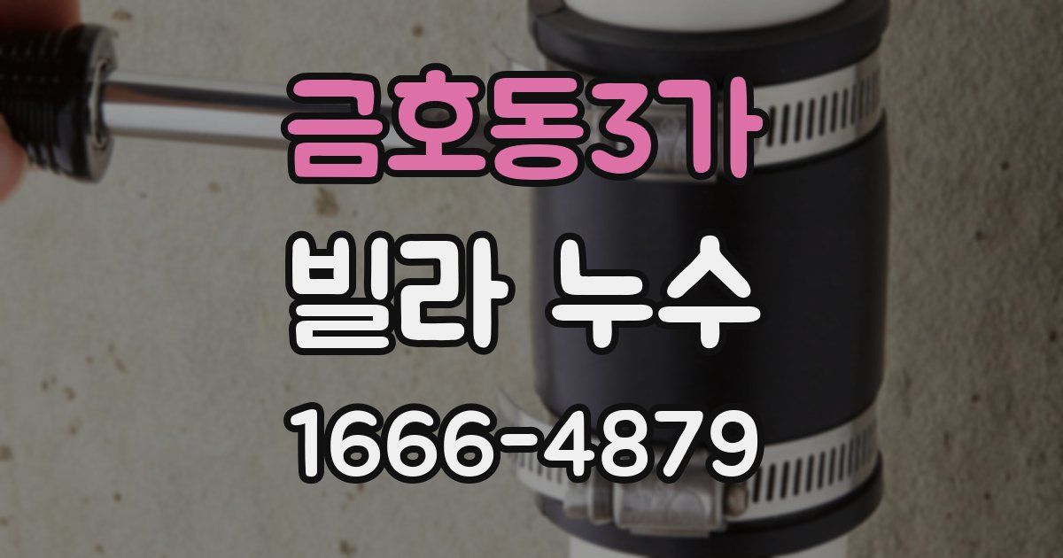 금호동3가 빌라 누수