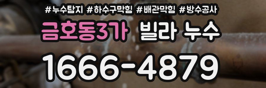 금호동3가 빌라 누수