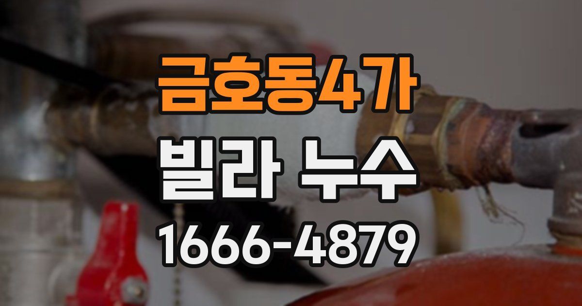 금호동4가 빌라 누수
