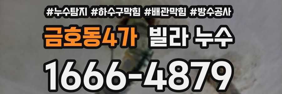 금호동4가 빌라 누수