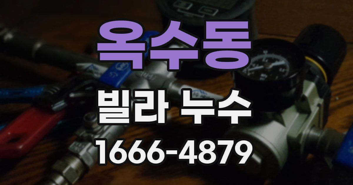 옥수동 빌라 누수