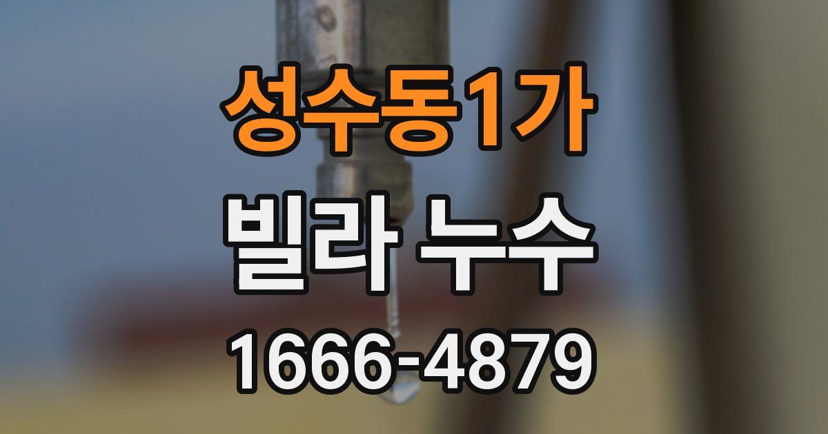 성수동1가 빌라 누수