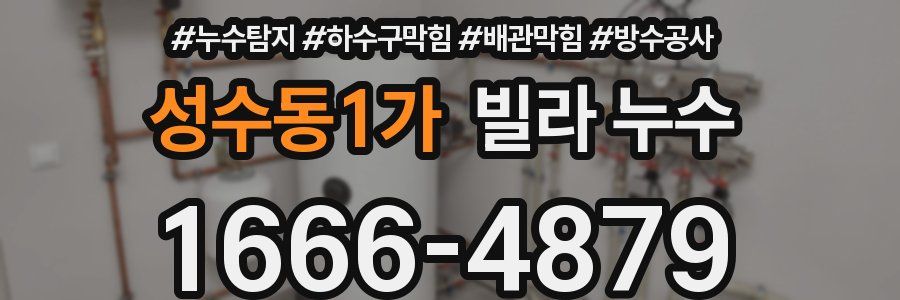 성수동1가 빌라 누수