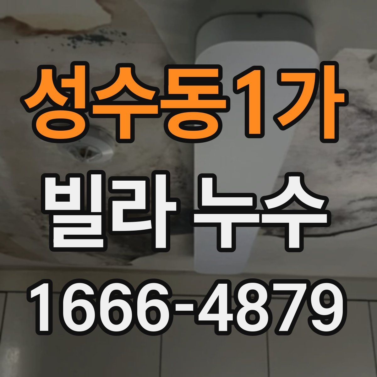 성수동1가 빌라 누수