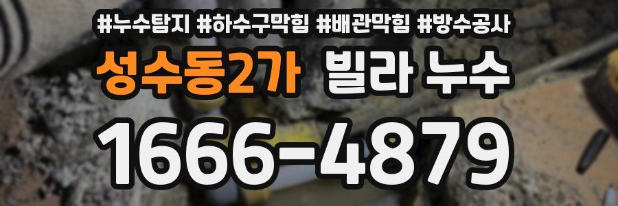 성수동2가 빌라 누수