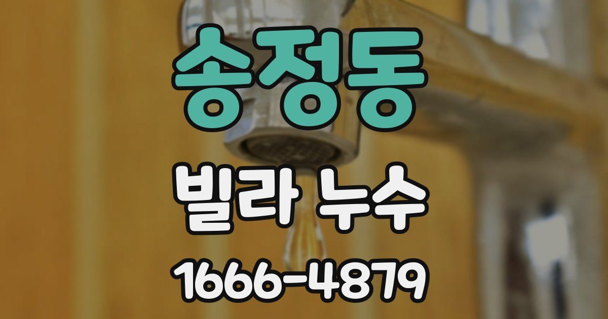 송정동 빌라 누수