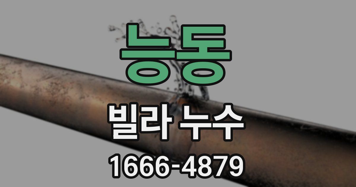 능동 빌라 누수