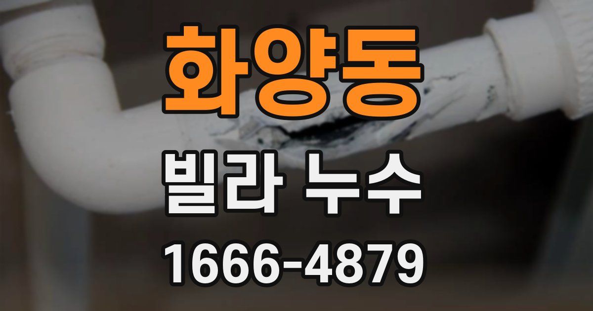 화양동 빌라 누수