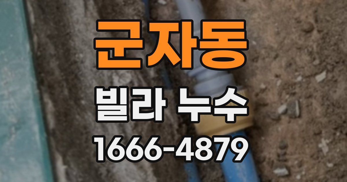 군자동 빌라 누수