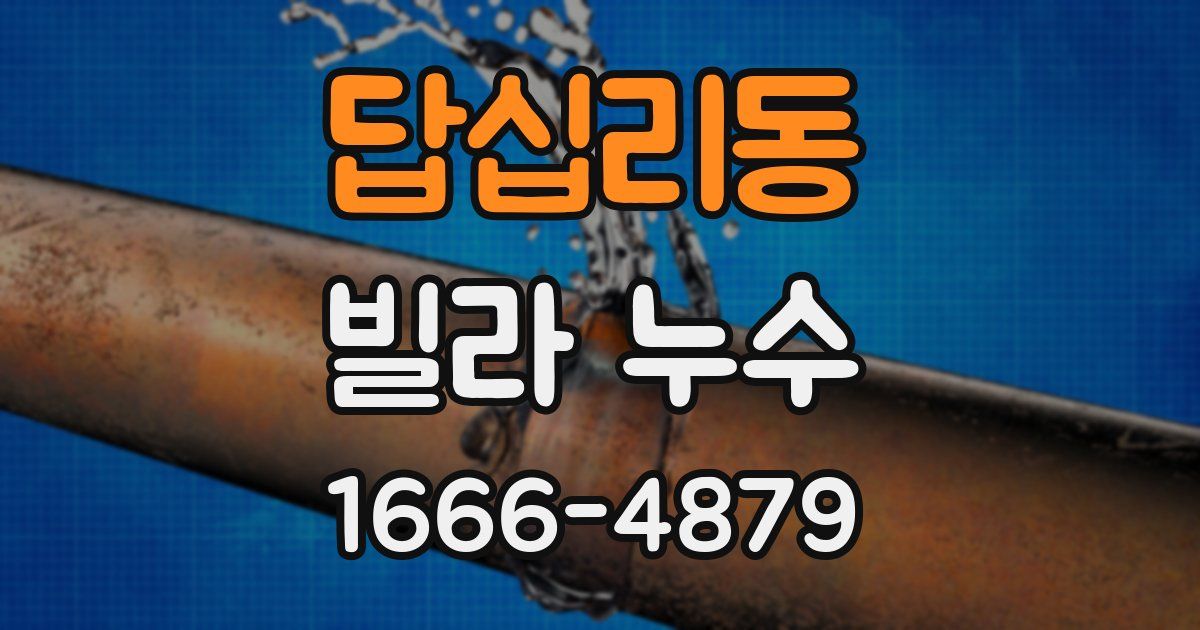 답십리동 빌라 누수
