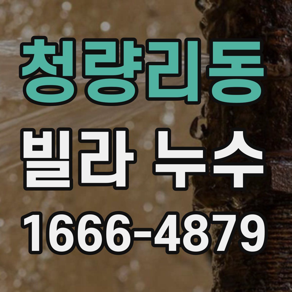 청량리동 빌라 누수