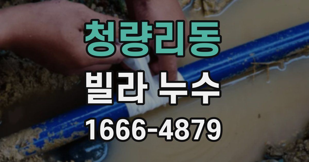 청량리동 빌라 누수