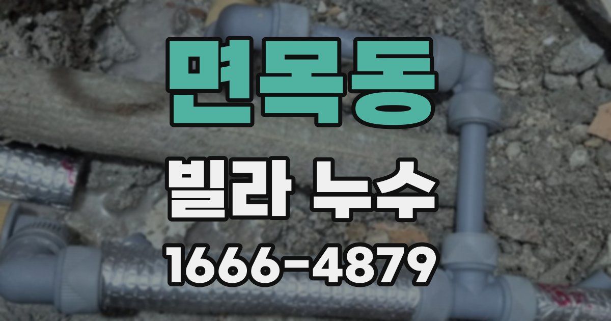 면목동 빌라 누수